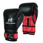 Kick Boxing Gloves (15)